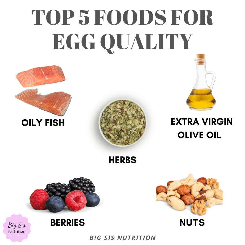 How To Improve Egg Quality - Top 5 Foods | Big Sis Nutrition.